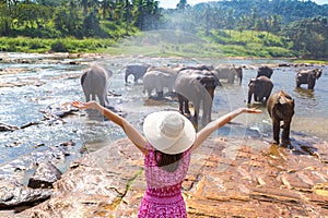 Woman and elephants in Sri Lanka