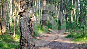 Woman embracing/hugging tree trunk, holding wildflowers in hands in the forest. Eco tourism