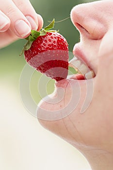 Woman enjoy strawberry close-up. Kisses and tastes strawberry. Seasonal berry