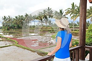 Woman enjoying view of rice fields