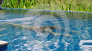 Woman enjoys luxe swim in tropical infinity pool at villa. Leisure activity in sunny expanse, diver explores underwater