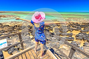 Woman enjoys Stromatolites