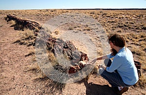 A Woman Examines a Petrified Log