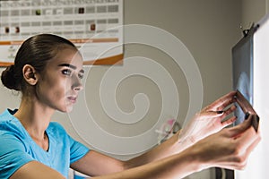 Woman examining an animal radiography.