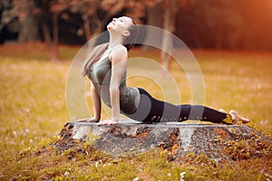 Woman exerciser in autumn park photo