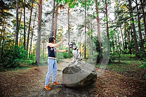 Woman exercising with Dalmatian dog in forest