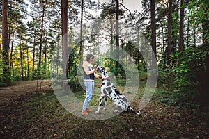 Woman exercising with Great Dane Harlequindog in forest