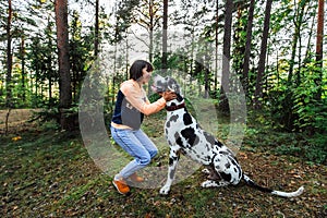 Woman exercising with Great Dane Harlequindog in forest