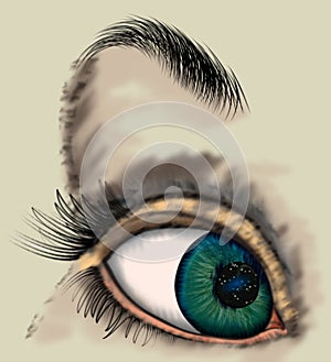 Woman eye