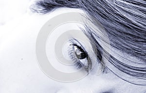 Woman eye