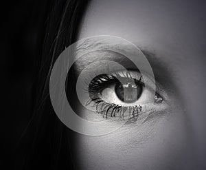 Woman eye