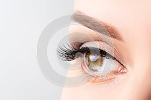 Woman eye with long eyelashes, beautiful makeup and light brown eyebrow close-up. Eyelash extensions, lamination, microblading,