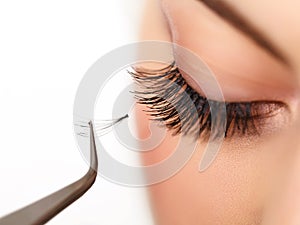 Woman eye with long eyelashes. Eyelash extension photo