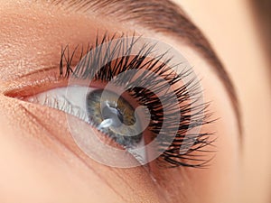 Woman eye with long eyelashes. Eyelash Extension