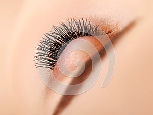 Woman Eye with Long Eyelashes. Eyelash Extension