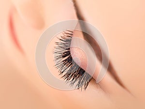 Woman Eye with Long Eyelashes. Eyelash Extension