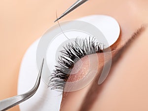 Woman Eye with Long Eyelashes. Eyelash Extension