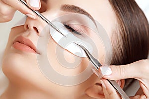 Woman Eye with Long Eyelashes. Eyelash Extension