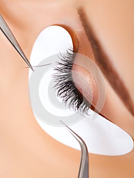 Woman Eye with Long Eyelashes. Eyelash Extension photo