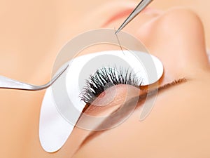 Woman Eye with Long Eyelashes. Eyelash Extension