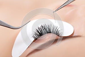 Woman Eye with Long Eyelashes. Eyelash Extension