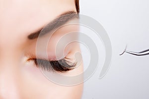 Woman Eye with Long Eyelashes. Eyelash Extension. Lashes, close up, selected focus.