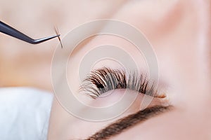 Woman Eye with Long Eyelashes. Eyelash Extension. Lashes, close up, selected focus.