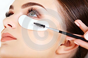 Woman eye with long eyelashes. Mascara Brush.