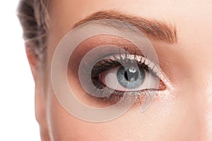 Woman eye with makeup photo