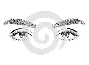 Woman eyes illustration. Beautiful woman with long eyelashes and thick eyebrows. Professional make-up and cosmetic skin care