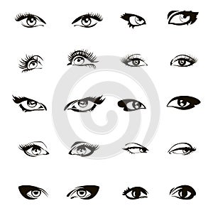 Woman eyes vector. Beautiful female eye set or ink drawing