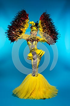 Woman in fantasy costume with feather sleeves photo