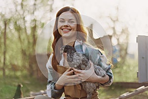 A woman on a farm holding a chicken and smiling a happy smile on an organic farm in the summer sunset