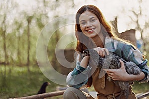 A woman on a farm holding a chicken and smiling a happy smile on an organic farm in the summer sunset