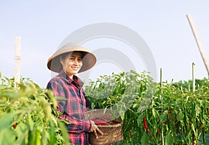 Woman farmer