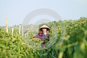 Woman farmer