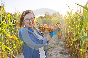 Woman farmer with basket of ripe red natural tomatoes in his vegetable garden on sunny day