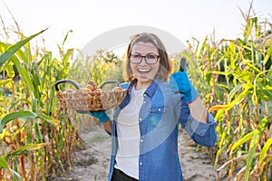 Woman farmer with basket of ripe red natural tomatoes in his vegetable garden on sunny day