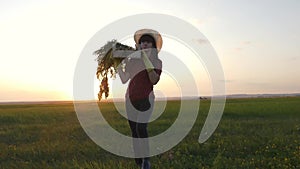 A woman farmer with a box of fresh vegetables is walking on a green field at sunset field. Cleaning of quality and