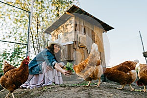 Woman Farmer Feeding Chickens, Sunny Morning at Home Farm