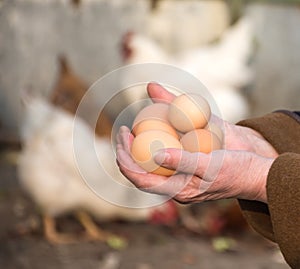 Woman farmer holding fresh organic eggs