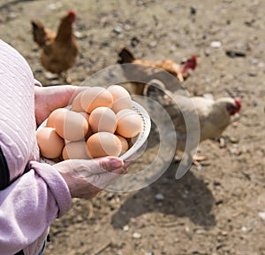 Woman farmer holding fresh organic eggs