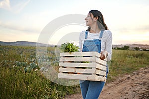 Woman farmer holding a wooden box of fresh vegetables. Young brunette female walking on a dirt road carrying organic