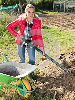 Woman farmer loading garden wheelbarrow with manure