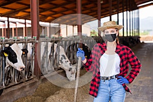 Woman farmer in mask working in cowshed