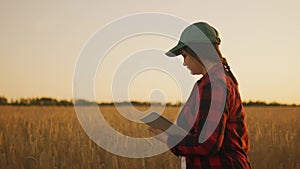 A woman farmer monitors the wheat harvest while walking through the field
