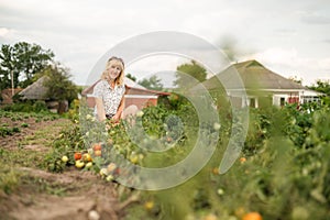 Woman farmer sits in the garden in a country house near a bed of tomatoes and looks at the camera. Work in the cottage in the