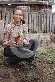 Woman farmer sitting next to strawberry garden bed and holding pot with strawberry seedling ready to plant it to soil