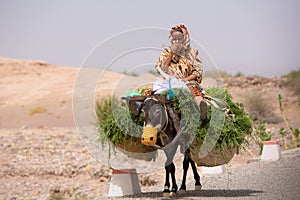 Woman farmer sitting and traveling on her donkey, Morocco