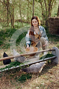 Woman farmer smiles and pours food for the birds at the bird feeder at the chicken farm